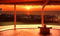 ���g����@�[�f���̏h�@������