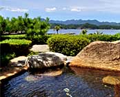 ���n����@�Ԃ���ǂ�̏h�@�ԟ�