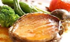 ���H�̉B��Ɓ@�v�����@���X