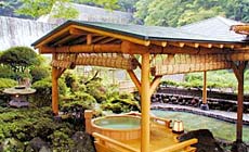 箱根湯本温泉 ホテルおくゆもと