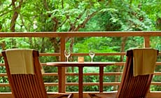 �������O�J����@���̉�