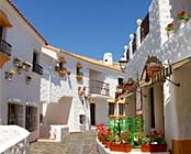 �u���n���C��