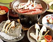 ���_����@���Η����̏h�@�g��