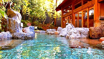 �����쉷�򋽁@�m�̓��@����̗�