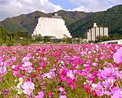 �z�e�����X�e�����c��E�C���O�^���[