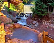 黒川温泉 旅館 奥の湯