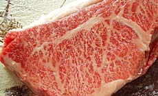 �M�B�������퉷��@����