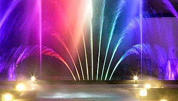 �ʕ{����@���T��z�e��