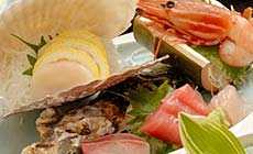 �H�ۉ���@����������