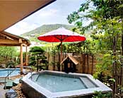 ����҂牷��@�Օ��O�����h�z�e���@���̏�