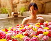 ��������҂牷��؂̓��@�g�~��