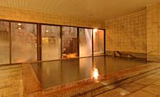 �|�s�S�̓V�R����|�@���É��N���E���z�e��