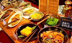 ���ˑ�P���V���g���z�e��