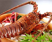 ���l����@�l�璹�̓��@�C�M