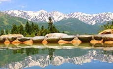 ���n�P�쉷��@���n�n�C�����h�z�e��