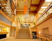 伊豆長岡 桂川 彩峰