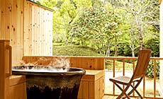 �ɐ�������΃��]�[�g�@��̓m