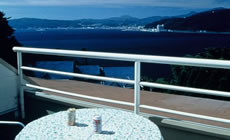 �F��������@�V�[�T�C�h�y���V�����@�V�[�x�A�[�A�l�b�N�X