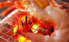 心温まる宿 ひだまり