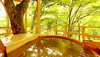 信州高山温泉郷 仙人露天岩風呂と渓谷美の宿 山田温泉 風景館