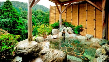 �ɓ��̌b�݂Ɗ����̂��h�@���h�@�u�\�g�n�s�`�q�t�\