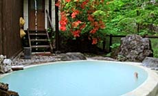 �苴�̏h�@�R���ρ@���쑑