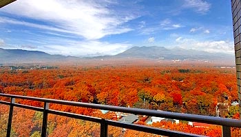 �ߐ{����@�z�e���G�s�i�[���ߐ{