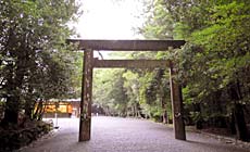 �ɐ��V�e�B�z�e���A�l�b�N�X