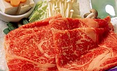 �܂�����̏h�@�ۈ�