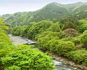 �S�{�쉷��@�Î�Ƃ܂�����̏h�@���d���d