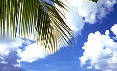 ホテル オーシャン(那覇国際通り)