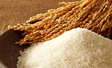 �`�T���C���y���