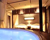 �ɐ��ɘȂށ@�����Q���̖����h�@�։��̋{