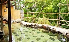 �H�ۉ���@�z�e���ؔT��