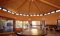 伊豆畑毛温泉 大仙家