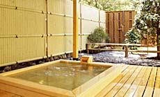 �y���V�����@�O���[���o�X�P�b�g