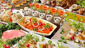 �S�{�쉷��@������