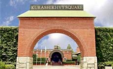 �q�~�A�C�r�[�X�N�G�A