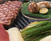 �O�J����@������