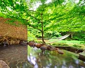 花巻温泉郷 新鉛温泉 結びの宿 愛隣館