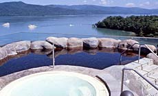 �����Δȉ���@�j���[�����z�e��