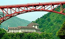 �F�ތ�����@�F�ތ��j���[�I�[�^�j�z�e��