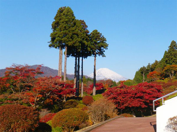 小田急　山のホテル