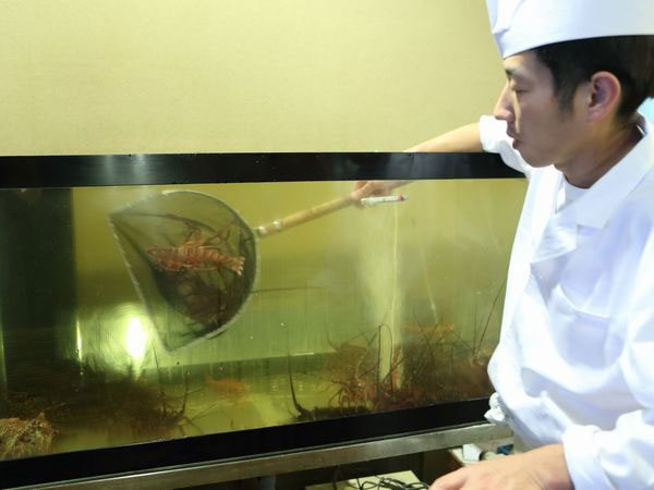 熱海温泉　大月ホテル　和風館