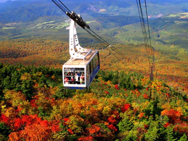 HOTEL　Jogakura（ホテル　城ヶ倉）