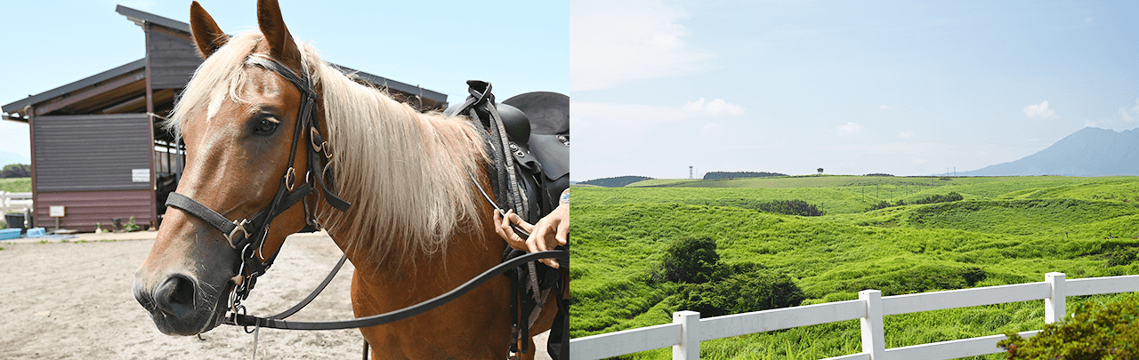 身体いっぱい?然を味わおう。