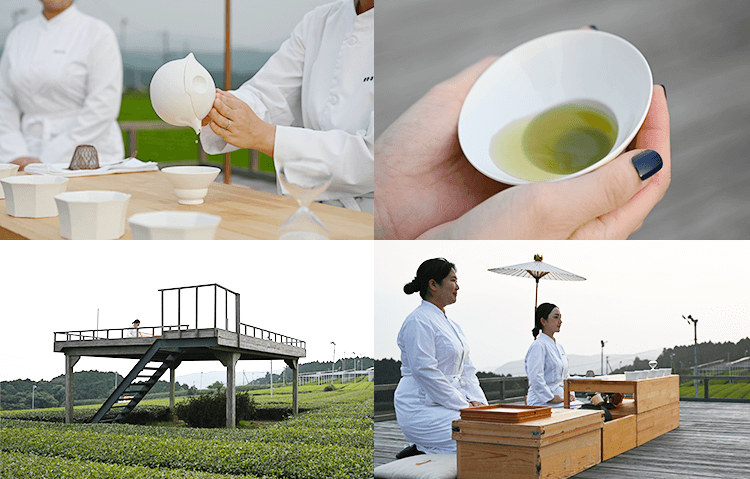 地域の新しい魅力を発見しよう。