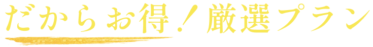 だからお得！厳選プラン