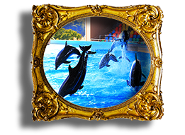 アドベンチャーワールド