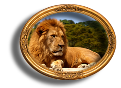 アドベンチャーワールド